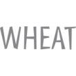 WHEAT - LOUI THERMO JACKET