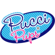 PUCCI PUPS - PUCCI HUND I PRIKKET TASKE