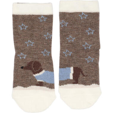 DACHSHUND SOCKS