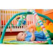 BABY EINSTEIN - WILD WIGGLES - ACTIVITY GYM